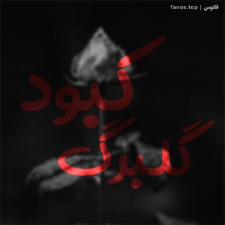 گلبرگ-کبود